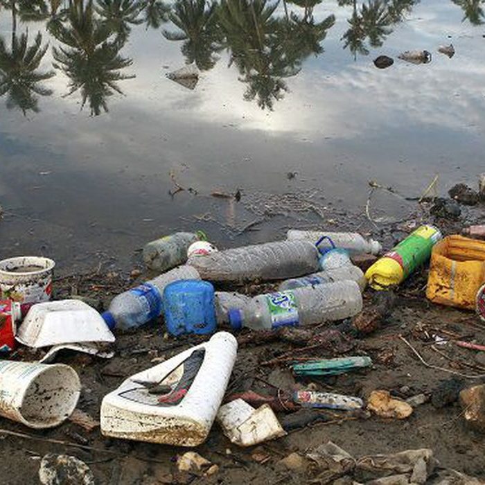 Impactos no meio ambiente | Veja quais são eles e os riscos Impactos no meio ambiente | Veja quais são eles e os riscos