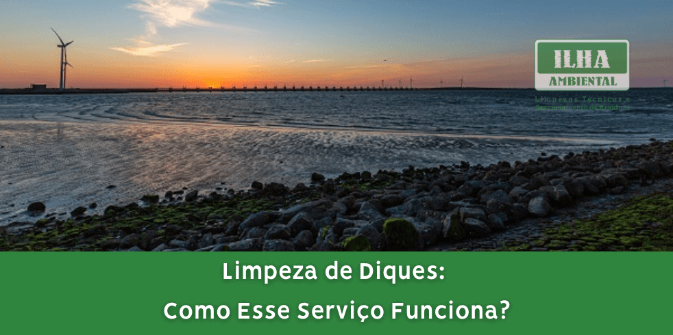 Limpeza de Diques: Como Esse Serviço Funciona?